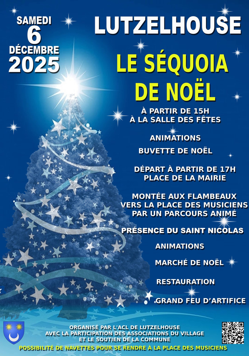 Le Séquoia de Noël 
