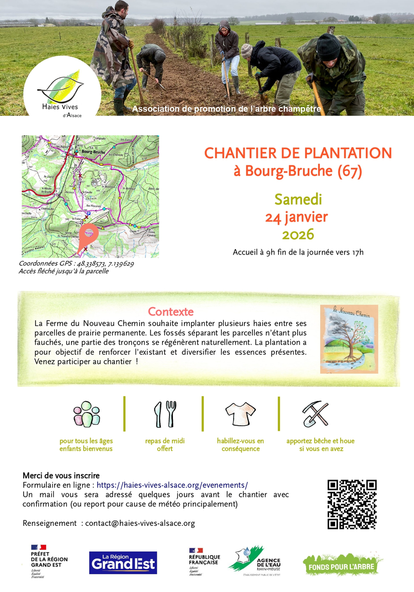 Chantier de plantation