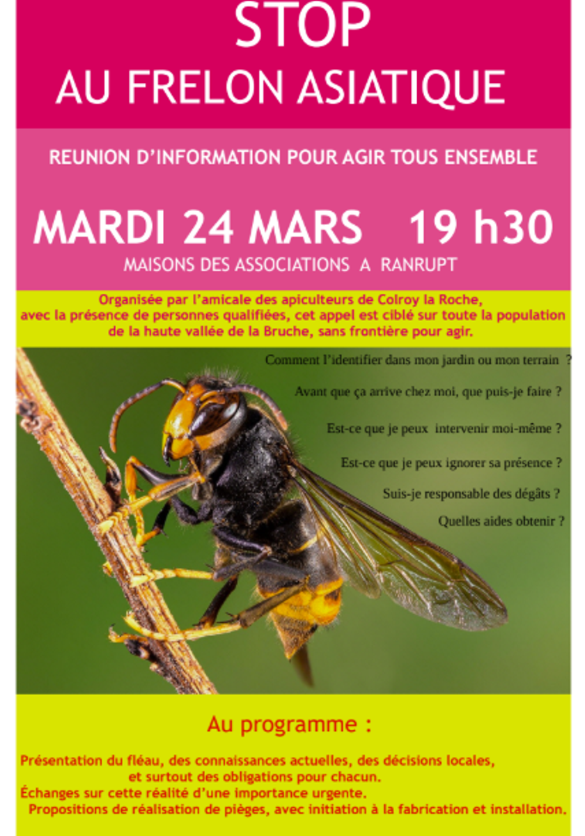  Réunion d'information sur le Frelon Asiatique 